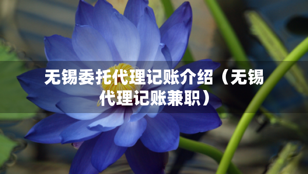 无锡委托代理记账介绍（无锡代理记账兼职）