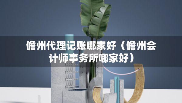 儋州代理记账哪家好（儋州会计师事务所哪家好）
