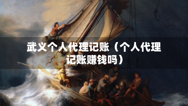 武义个人代理记账（个人代理记账赚钱吗）