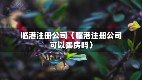 临港注册公司（临港注册公司可以买房吗）