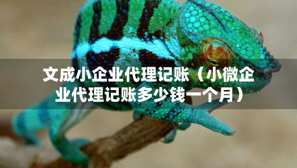 文成小企业代理记账（小微企业代理记账多少钱一个月）