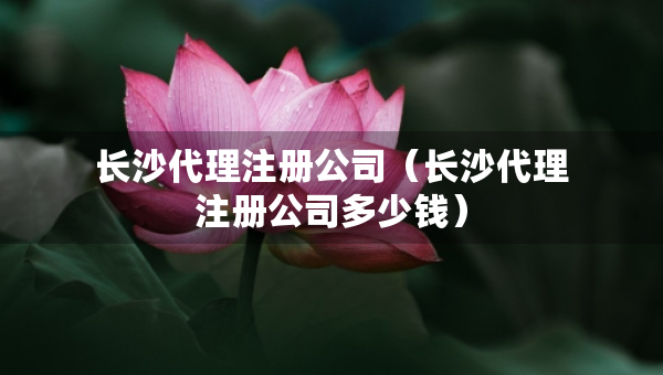 长沙代理注册公司（长沙代理注册公司多少钱）