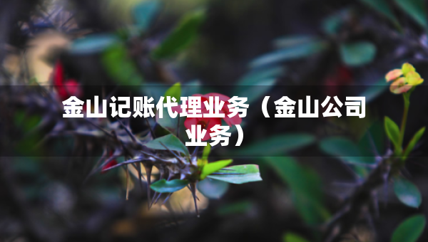 金山记账代理业务（金山公司业务）
