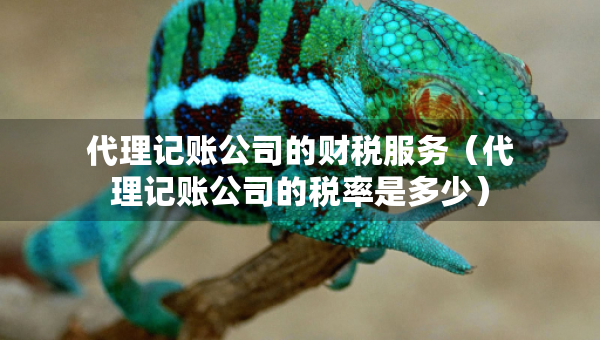 代理记账公司的财税服务（代理记账公司的税率是多少）