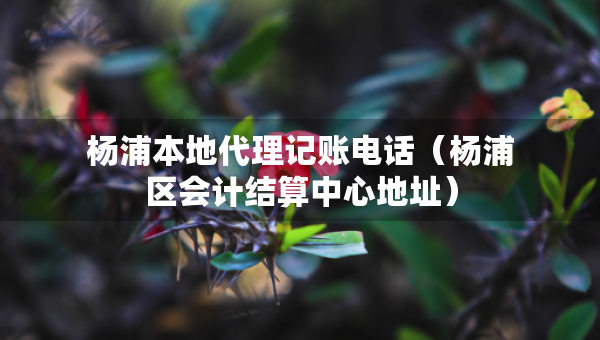 杨浦本地代理记账电话（杨浦区会计结算中心地址）