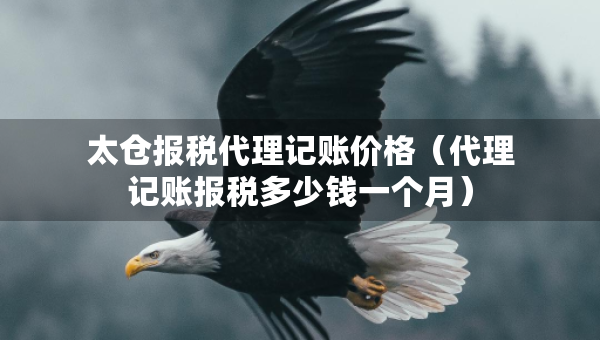 太仓报税代理记账价格（代理记账报税多少钱一个月）