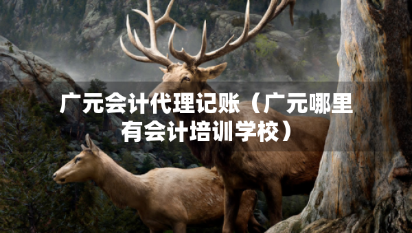 广元会计代理记账（广元哪里有会计培训学校）