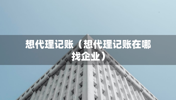 想代理记账（想代理记账在哪找企业）