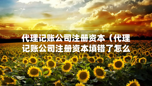代理记账公司注册资本（代理记账公司注册资本填错了怎么办）