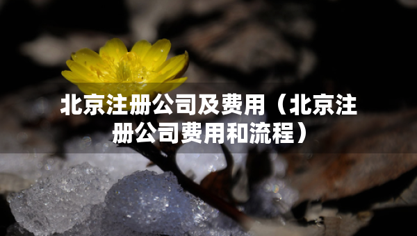 北京注册公司及费用（北京注册公司费用和流程）