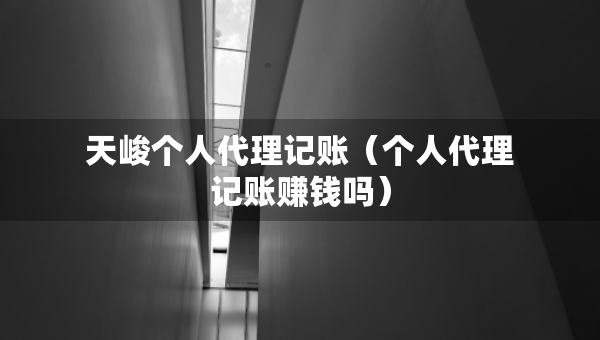 天峻个人代理记账（个人代理记账赚钱吗）
