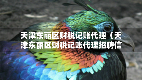 天津东丽区财税记账代理（天津东丽区财税记账代理招聘信息）