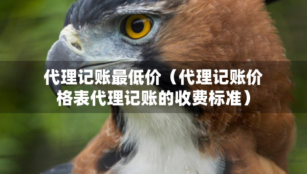 代理记账最低价(代理记账价格表代理记账的收费标准) 代理记账最低价(代理记账价格表代理记账的收费标准)