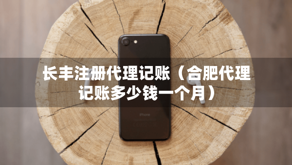 长丰注册代理记账（合肥代理记账多少钱一个月）