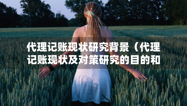 代理记账现状研究背景(代理记账现状及对策研究的目的和意义) 代理记账现状研究背景(代理记账现状及对策研究的目的和意义)