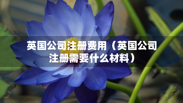 英国公司注册费用（英国公司注册需要什么材料）