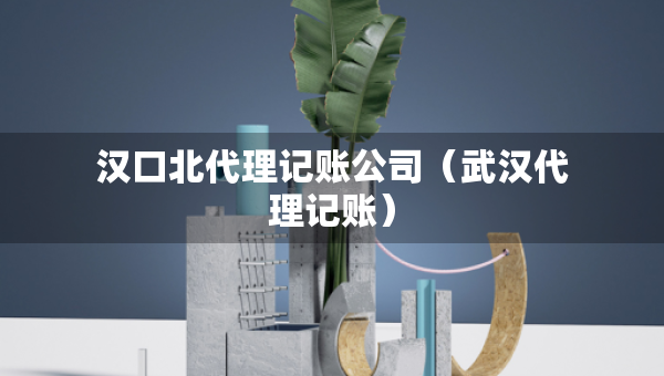 汉口北代理记账公司（武汉代理记账）