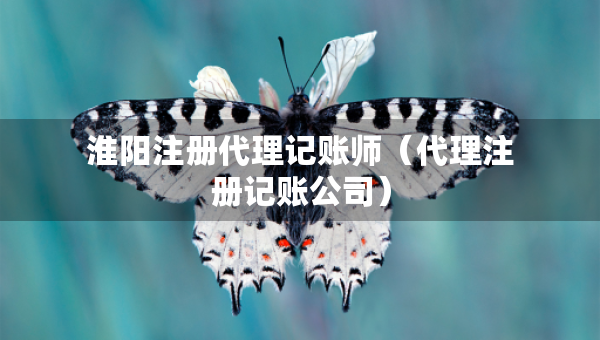 淮阳注册代理记账师（代理注册记账公司）