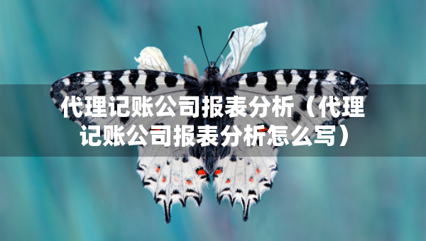 代理记账公司报表分析（代理记账公司报表分析怎么写）