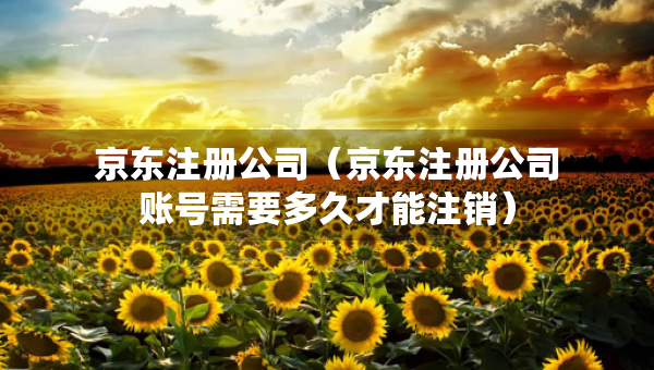 京东注册公司（京东注册公司账号需要多久才能注销）