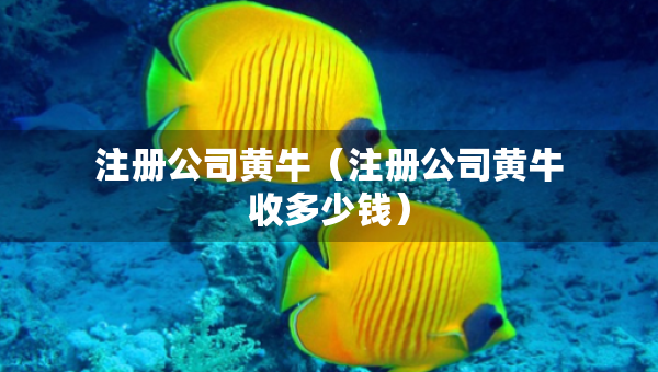 注册公司黄牛（注册公司黄牛收多少钱）