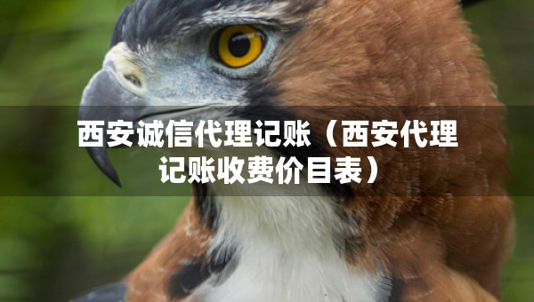 西安诚信代理记账（西安代理记账收费价目表）