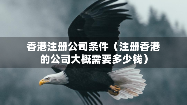 香港注册公司条件（注册香港的公司大概需要多少钱）
