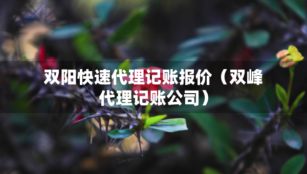双阳快速代理记账报价（双峰代理记账公司）