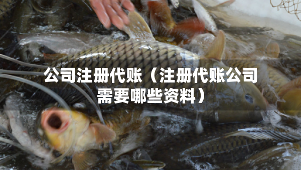 公司注册代账（注册代账公司需要哪些资料）