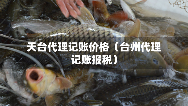 天台代理记账价格（台州代理记账报税）