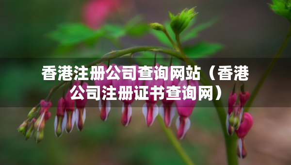 香港注册公司查询网站（香港公司注册证书查询网）
