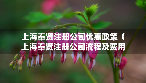 上海奉贤注册公司优惠政策（上海奉贤注册公司流程及费用）