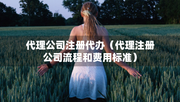 代理公司注册代办（代理注册公司流程和费用标准）
