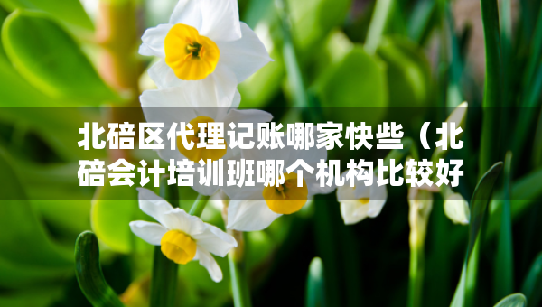 北碚区代理记账哪家快些（北碚会计培训班哪个机构比较好）
