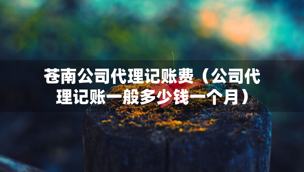 苍南公司代理记账费（公司代理记账一般多少钱一个月）
