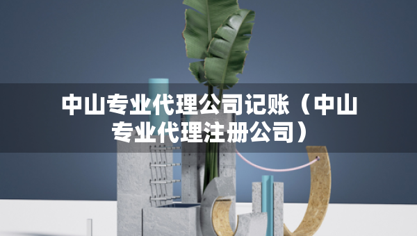 中山专业代理公司记账（中山专业代理注册公司）