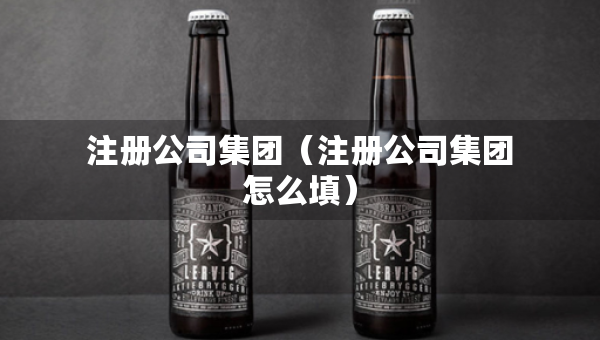 注册公司集团（注册公司集团怎么填）