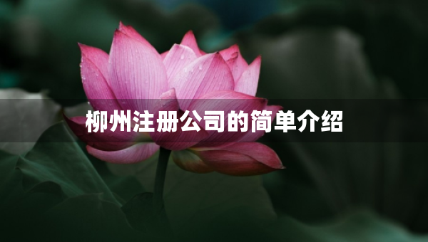 柳州注册公司的简单介绍