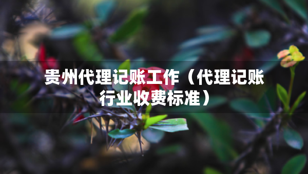 贵州代理记账工作（代理记账行业收费标准）