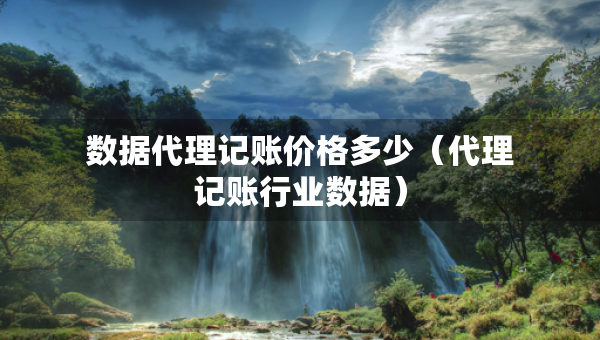 数据代理记账价格多少(代理记账行业数据) 数据代理记账价格多少(代理记账行业数据)
