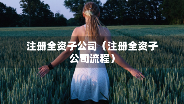 注册全资子公司（注册全资子公司流程）