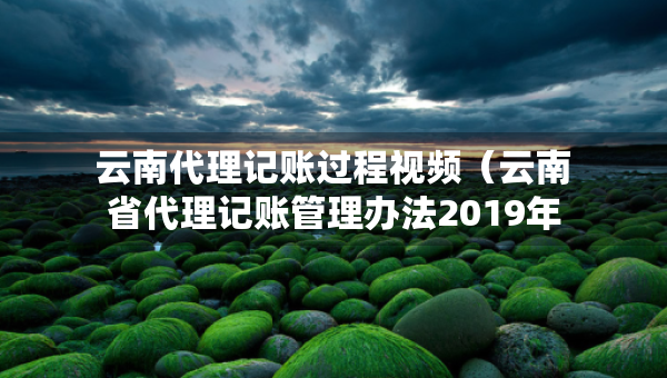 云南代理记账过程视频（云南省代理记账管理办法2019年修订版）