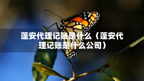 蓬安代理记账是什么（蓬安代理记账是什么公司）