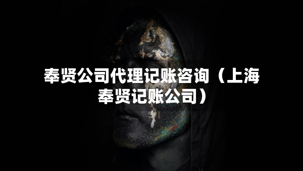 奉贤公司代理记账咨询（上海奉贤记账公司）