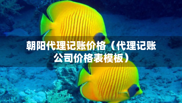朝阳代理记账价格（代理记账公司价格表模板）