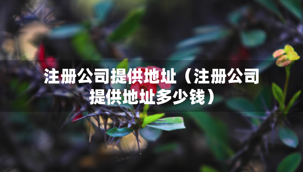 注册公司提供地址（注册公司提供地址多少钱）