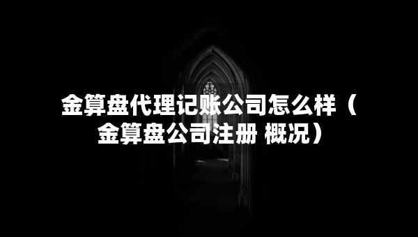 金算盘代理记账公司怎么样（金算盘公司注册 概况）