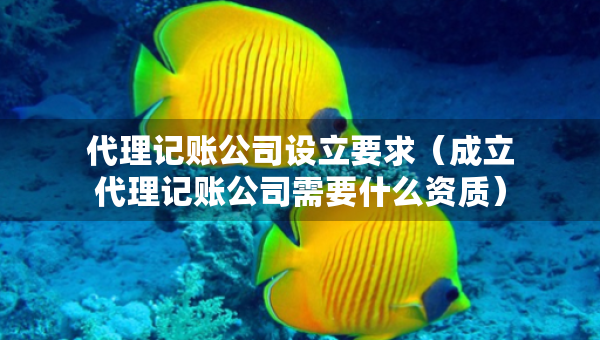 代理记账公司设立要求（成立代理记账公司需要什么资质）