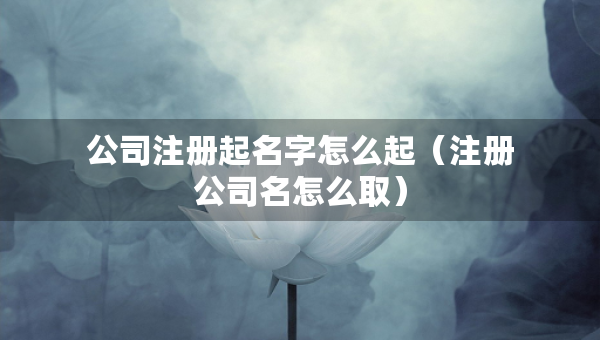 公司注册起名字怎么起（注册公司名怎么取）