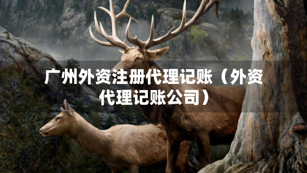 广州外资注册代理记账（外资代理记账公司）